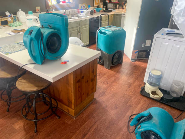 Best Ceiling water damage repair  in Buxton, NC