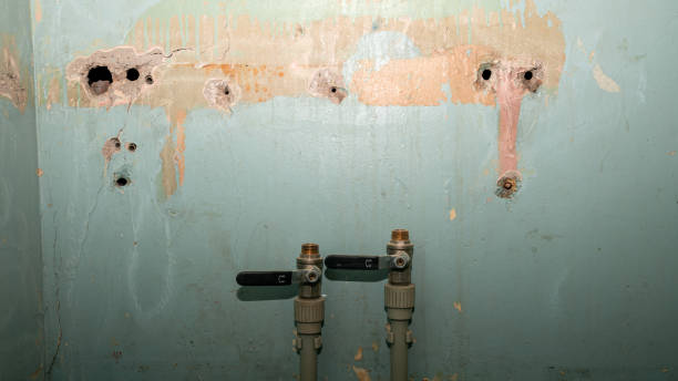 Best 24-hour water damage restoration  in Buxton, NC