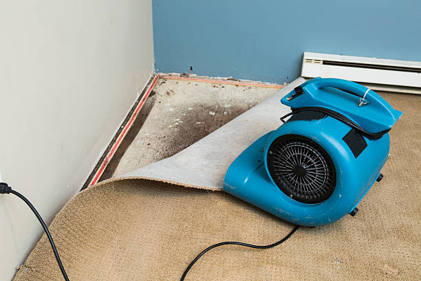Best Water damage restoration near me  in Buxton, NC